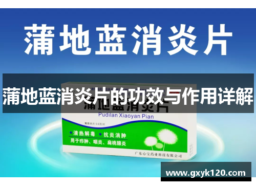 蒲地蓝消炎片的功效与作用详解