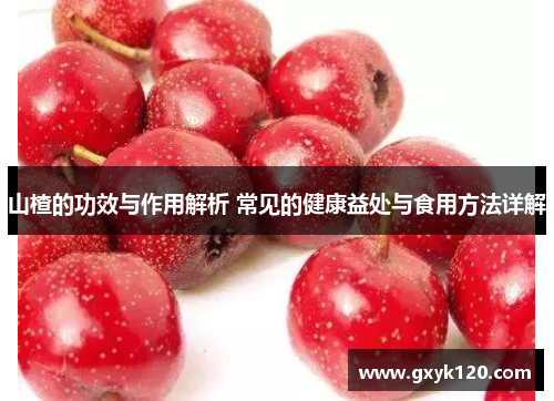 山楂的功效与作用解析 常见的健康益处与食用方法详解