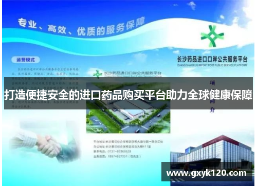 打造便捷安全的进口药品购买平台助力全球健康保障